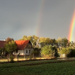 Felföldi Tanya Vendégház Kiskunmajsa (4)