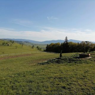 Rulota Csikykerti Gheorgheni (3)