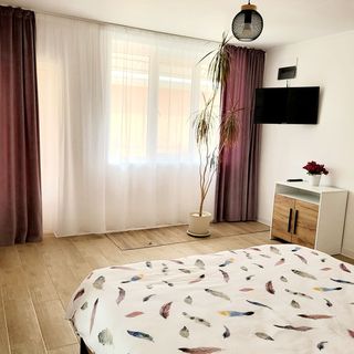 Cenan's House Turda (3)