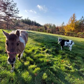 Ośrodek wypoczynkowy Na Wzgórzu Władysławowo (2)