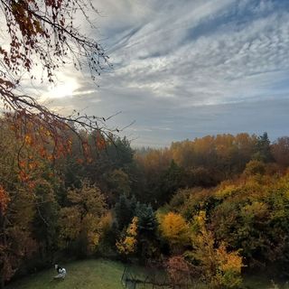 Ośrodek wypoczynkowy Na Wzgórzu Władysławowo (5)