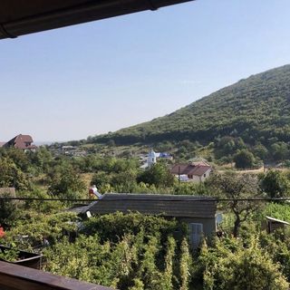 Pensiunea Agroturistica Dana Visterna (3)