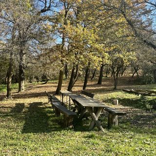 Home of Art Erdei Vendégház és Közösségi tér Verőce (5)