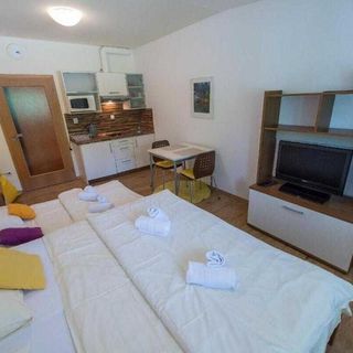 Apartmán Lipno 20 Lipno nad Vltavou (5)