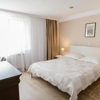 Villa Helvetia Târgu Mureș (4)