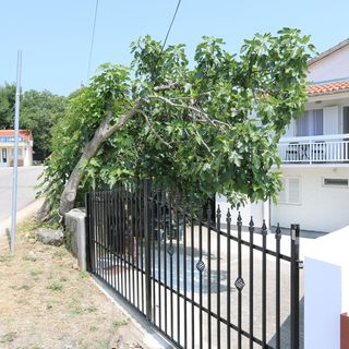Apartment Jankovec Silo (4)