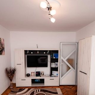 Apartament Mim's Home Băile Herculane (4)