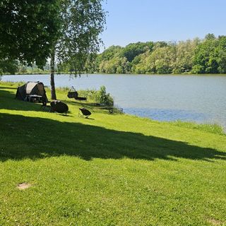 Tavi Kedvenc Apartman Zalalövő (2)