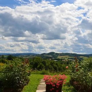 Domki nad Soliną "Złoty Róg" Bieszczady (2)
