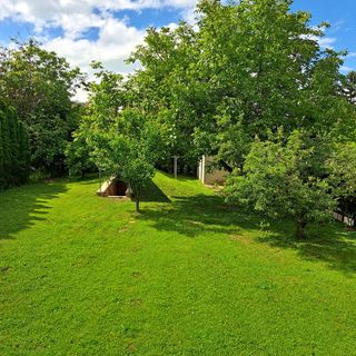 Kis Oázis Apartman Balatonszemes (5)