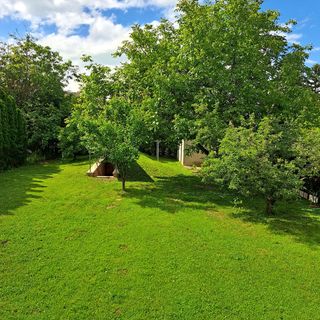 Kis Oázis Apartman Balatonszemes (5)