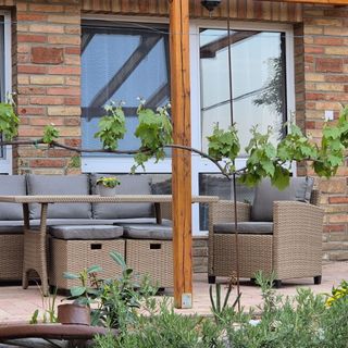 Vidéki Idill Vendégház - Izmény (2)