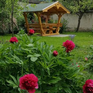 Csipesz Vendégház Nagymaros (2)