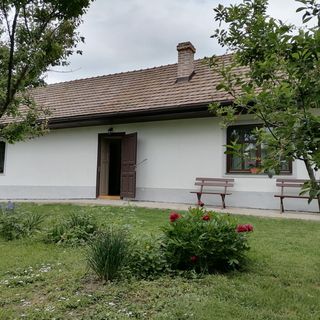 Csipesz Vendégház Nagymaros (4)