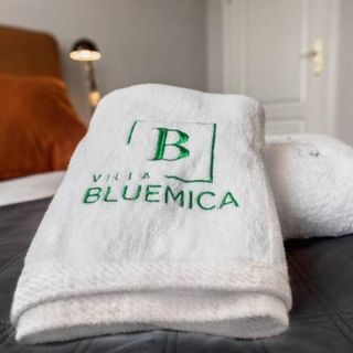 Villa Bluemica Międzyzdroje (2)