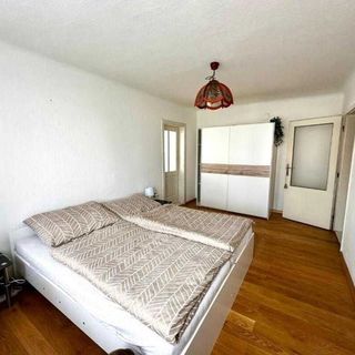 Apartmán Dolní Němčice Dačice (4)