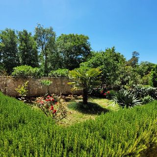 Apartments Dani Sveti Anton Krk (2)