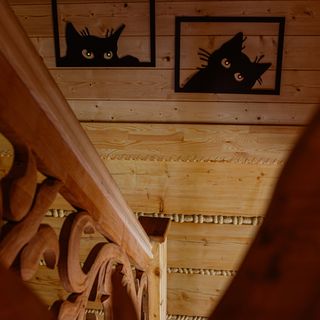 Chata Czarny Kot (5)