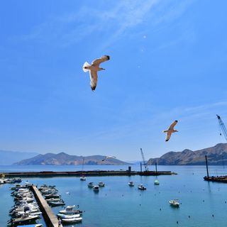 Apartment Barbalic Harbour Baska (5)