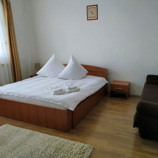 Pensiunea Agroturistică Casa Runc Vatra Dornei (3)