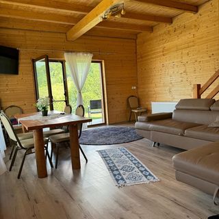 Cabana Izvorul Rece Baia Sprie (2)