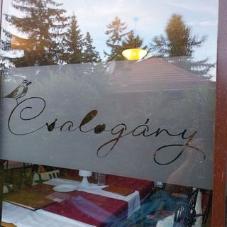 Csalogány Panzió Balatonfenyves (4)