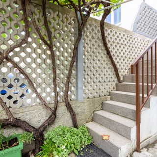 Apartment Lucija Baska (2)