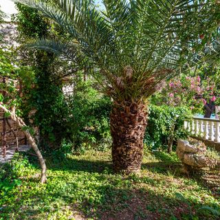 Apartman Rovanjska - CDI833 (3)