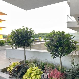 Apartament No 503 Lebada Lake Residence Pantelimon (3)