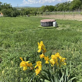 Kőhegy Vendégház Polgárdi (4)