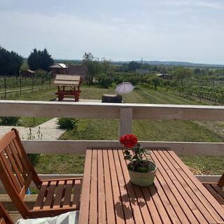 Kőhegy Vendégház Polgárdi (2)