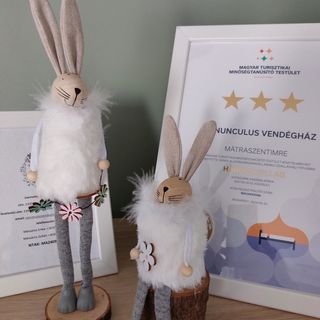 Ranunculus Vendégház Mátraszentimre (3)