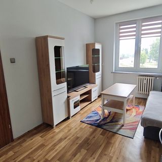 Apartament Gotyckie Noce Toruń (2)