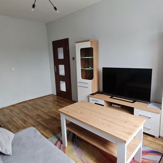 Apartament Gotyckie Noce Toruń (3)
