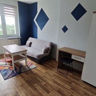 Apartament Gotyckie Noce Toruń (4)