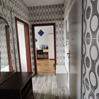 Apartament Gotyckie Noce Toruń (5)