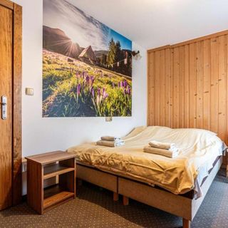 Willa Baja 2 Zakopane (4)