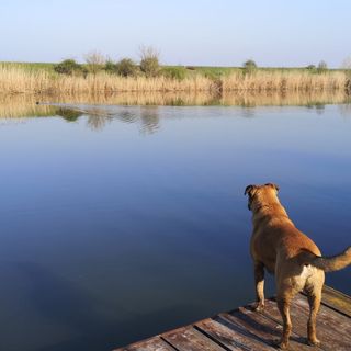 Harangzugi Vendégház Öcsöd (5)