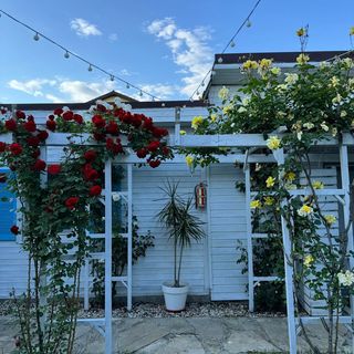 Vila Viorica Mamaia Nord (5)