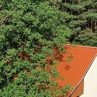 Eco-Wood Home Ostoros (2)