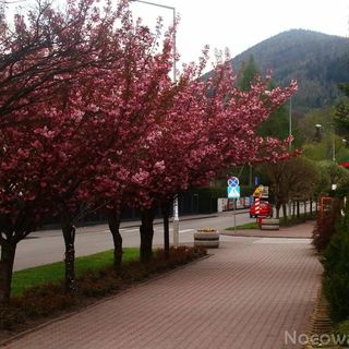 Agat Ustroń-Zawodzie (4)