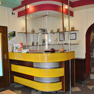 Pensiunea Flamingo Brașov (4)