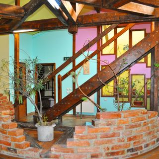 Pensiunea Flamingo Brașov (3)