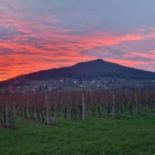 Credo Panzió Villány (2)