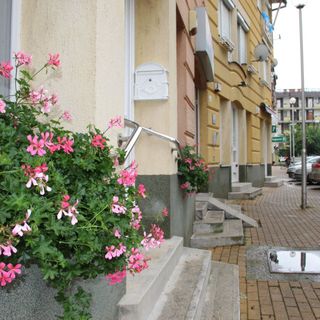 Szilfa apartman Hódmezővásárhely (2)