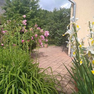 Szegi Menedék Vendégház Becsvölgye (2)