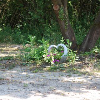 Farm Ház Fonyód (3)