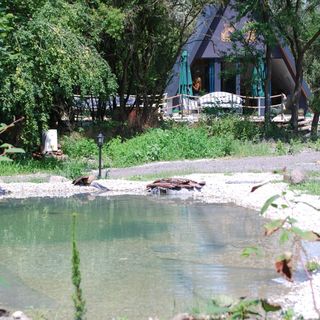 Farm Ház Fonyód (5)