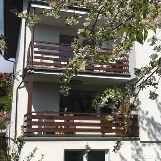 Dom Gościnny HydroZagadka Bed Breakfast Kołobrzeg (2)