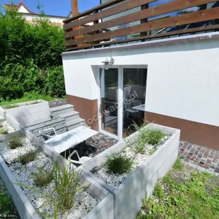 Dom Gościnny HydroZagadka Bed Breakfast Kołobrzeg (5)